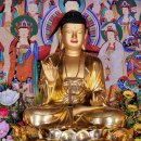 함평 보림정사 목조여래좌상 이미지