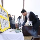 강진-27 이미지