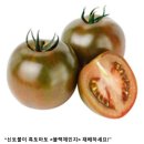 야생화님이 자가 채종한 신토불이 흑토마토 &#34;블랙체인지&#34; 씨앗 나눔 이미지