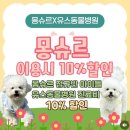 [ 익산 동물병원 추천 ] 익산 유스동물병원, 고양이 건강검진