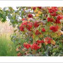 시청공원 이미지