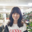 타스헤어 네이버블로그