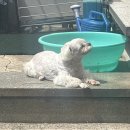 7월에 뭘 하고 살았나
