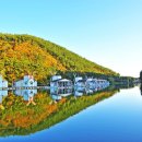 서산갯마을낙지 이미지