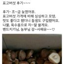 강원도산 송화버섯&표고버섯 착한 가격에 판매합니다 이미지