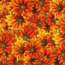 합천부동산공인중개사사무소 이미지