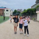 경화초등학교 이미지