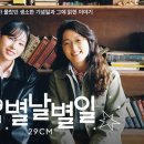 29 데일리안