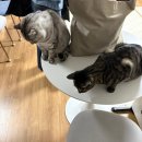 사임당로19길 28-23 | 월간뚜비 | 2월, 받아들이는 거예요 그냥