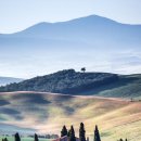 스카리아 이미지