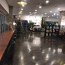 (주)대교 | 울산대교 전망대 후기 초등 자녀와 함께 가본 울산 야경 명소