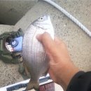 하유방파제 이미지