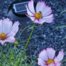 원이네농장 이미지