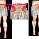 태선생 운동건강연구원(저스트바디짐) 이미지