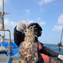 갑봉이면 | 제주 심해 갑오징어 낚시 일정 &amp; 후기 (4일 코스 완전 정리)제주 심해