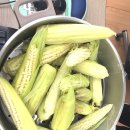 대창초등학교 이미지