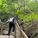 천생산칼국수 | 호화로운 삶보다 일광욕이 더 소중합니다.