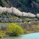 삼기저수지 등잔길 이미지