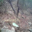 무당바위 이미지