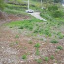 별리농장 이미지