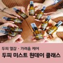 쉽게 배우는 강아지 아로마 테라피 | 꽃비 맞으며 만든 두피 미스트, 아로마테라피가 더 특별해지는 모임 후기