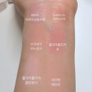 단델리온임팩트