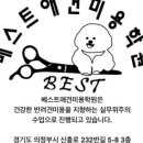 베스트 의정부 애견 미용학원 이미지