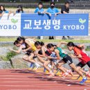 교보생명 이미지