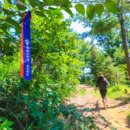 유유자적 이미지