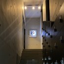 페르소나 피티 이미지