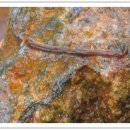 진교초등학교 이미지