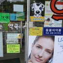 맑은샘약국 이미지