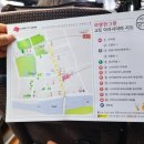일본 단풍 여행 | 오사카 출발 교토 버스 투어 후기, 아라시야마 금각사 청수사 여우신사
