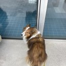 두두농장 이미지