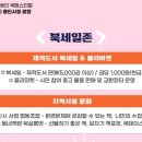 북살롱벗협동조합 네이버블로그