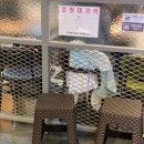 맛닭꼬부천범박점 네이버블로그
