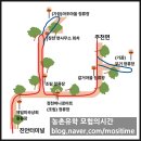 진안시외버스공용정류장 | 진안 농촌유학 필수정보 | 정천 주천 방면 무거 갈거 조림 버스 시간표 노선