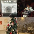 씨유 안락푸른점 | 교환독서 후기 + 방법 ᅵ<영혼을 위한 닭고기 수프1> 스포o