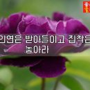 가락지 - 남양주시 늘을1로16번길 29 | 가락지