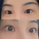 독산동 속눈썹 펌 잘하는 집 누니아 독산본점 방문 후기