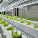 병용농장 이미지