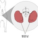송정동물의료센터 이미지