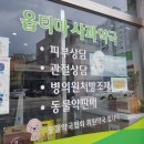 옵티마사과약국 이미지