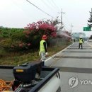 동진면사무소 이미지