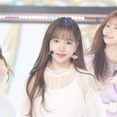율 Daum카페