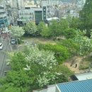 데굴데굴 당구장 이미지