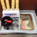 항정살돈천하