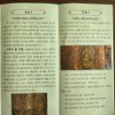 천정농장 | 파타야 관광지 후기 1 (진리의 성전, 나끄아 란포...시장, 백만년바위공원과 악어농장, 그리고 제또 국수)