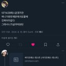 찌니삐니