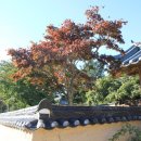 수곡1리 마을회관 이미지